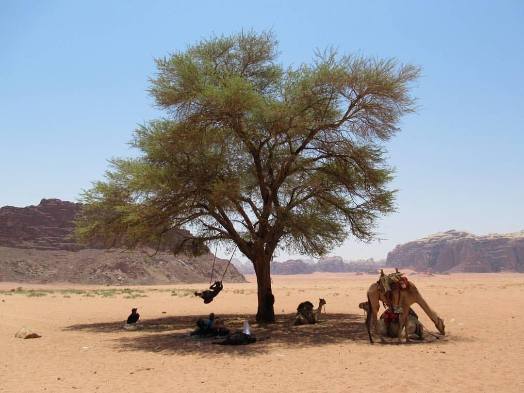 Climbers House In Wadi Rum Ngoại thất bức ảnh